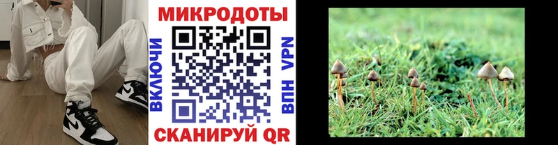 купить наркотики сайты  Новоалтайск  Псилоцибиновые грибы мухоморы 